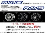 RAYS.blog_R.jpg